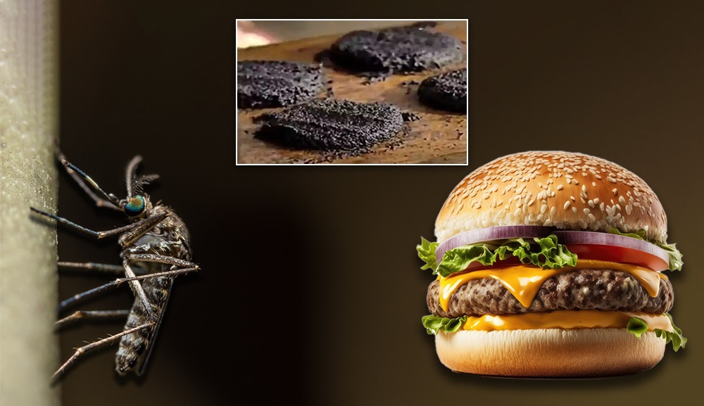 Burger on a metal plate, made from squashed mosquitoes caught after heavy rain.