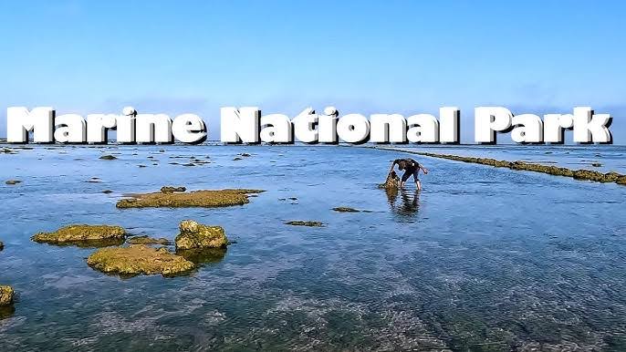 A wide view of Narara Marine National Park with shallow waters and mangroves